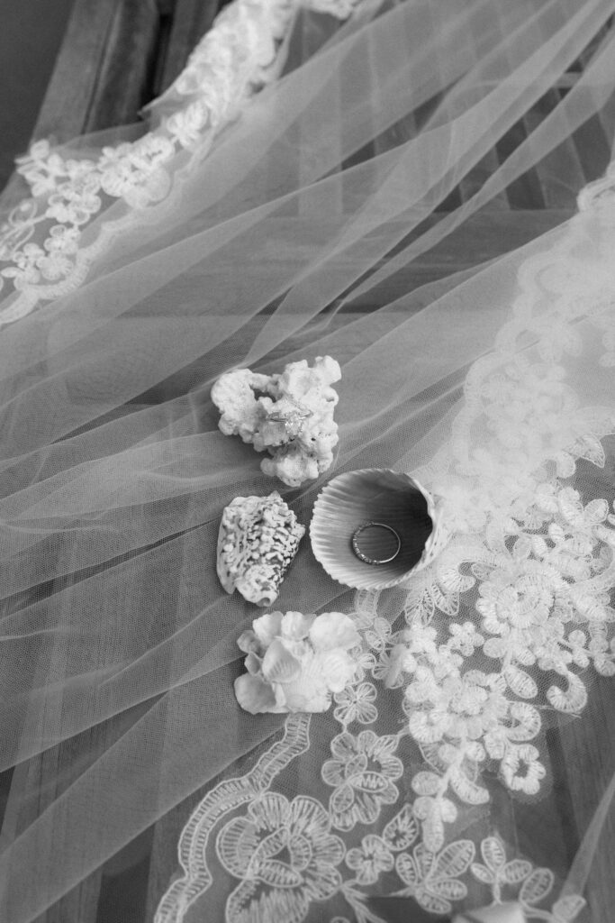 coastal wedding flatlay of rings